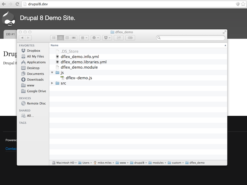 Drupal 8 custom module 'dflex_demo' has new libraries.yml file and javascript directory with a js file.